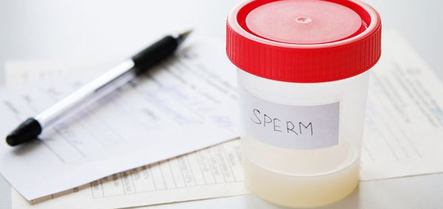 sperm donasyonu