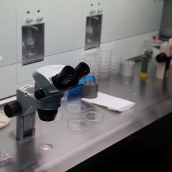 Kıbrıs'ta En İyi Tüp Bebek Merkezi