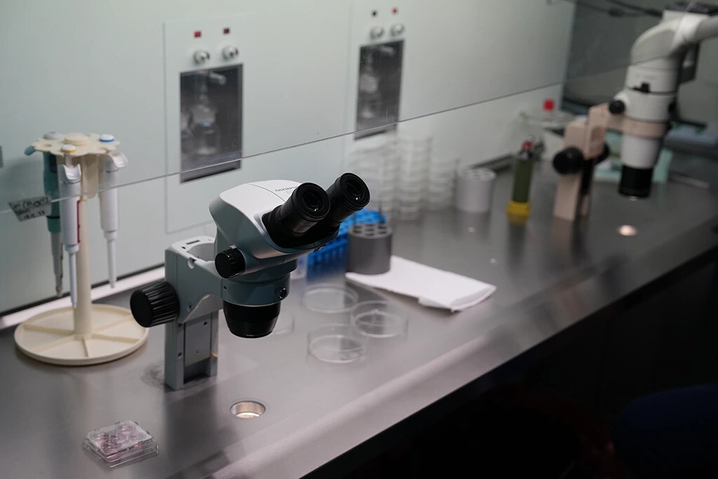 Kıbrıs'ta En İyi Tüp Bebek Merkezi