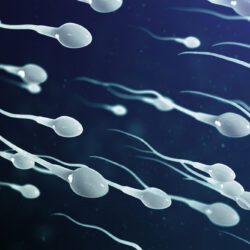 Sperm Sayısı Kaç Olmalı