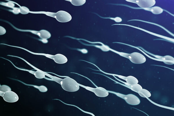 Sperm Sayısı Kaç Olmalı