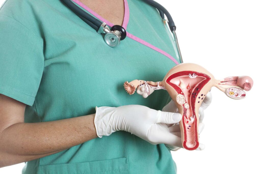 Endometrial Hiperplazi Nedir