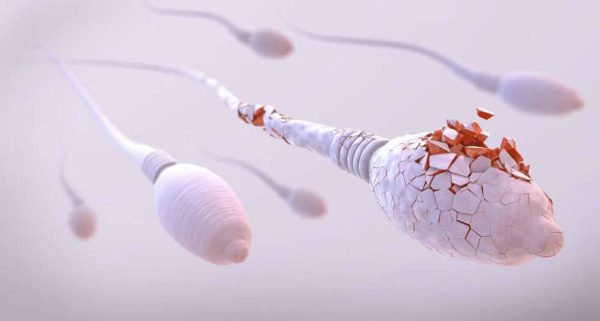 Sperm Enfeksiyonu