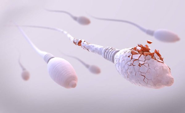 Sperm Sayısı