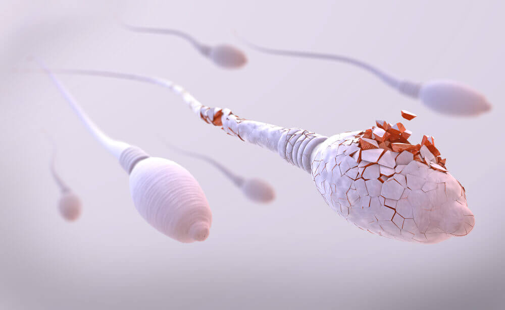 Sperm Sayısı