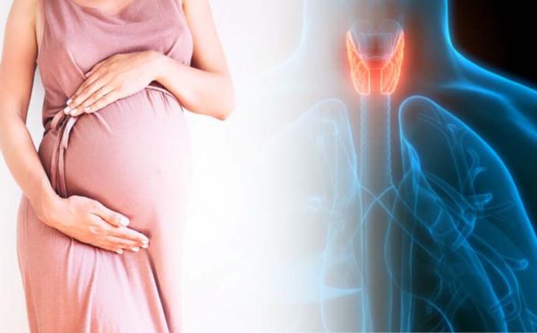 Tiroid hormonları.