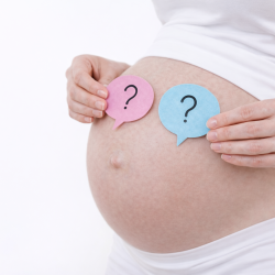 Cinsiyet Seçimi Fiyatları 2026