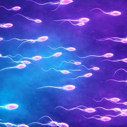 Sperm Morfoloji Bozukluğu Gebeliğe Engel mi