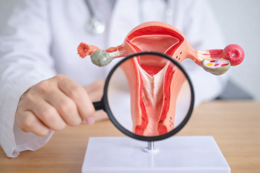 Rahim İçi Perde Ameliyatı