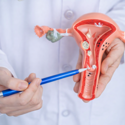 Rahim İçi Yapışıklıkların Açılması