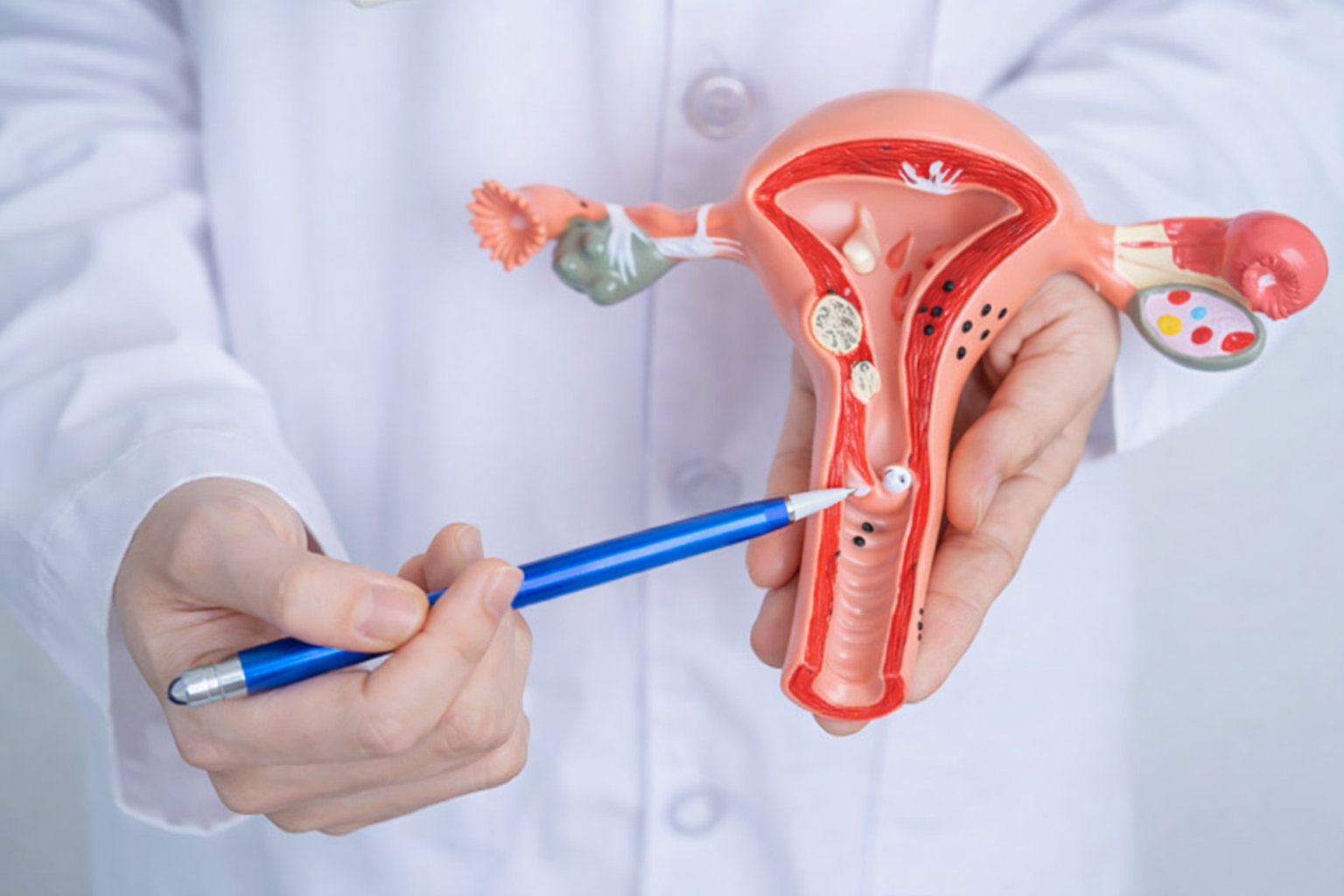 Rahim İçi Yapışıklıkların Açılması