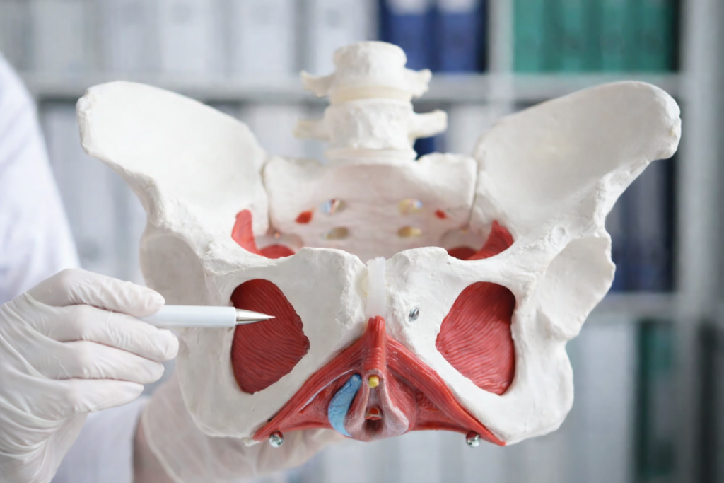 Sistosel, Rektosel ve Enterosel Onarımı